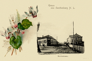 Senftenberg